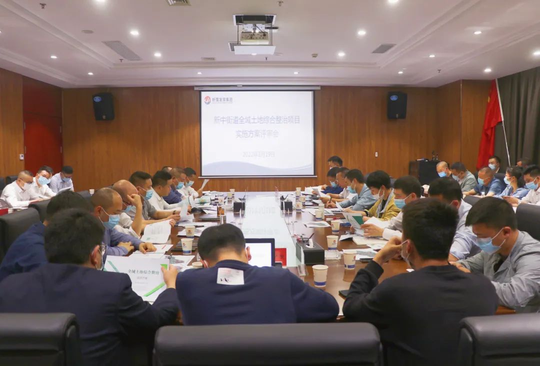新中街道全域土地综合整治项目实施方案评审会召开
