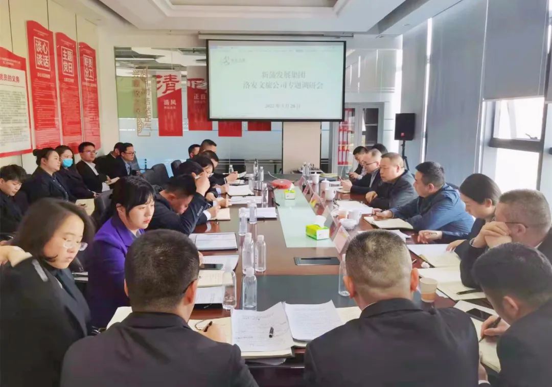 令狐昌鸿带队调研洛安文旅公司