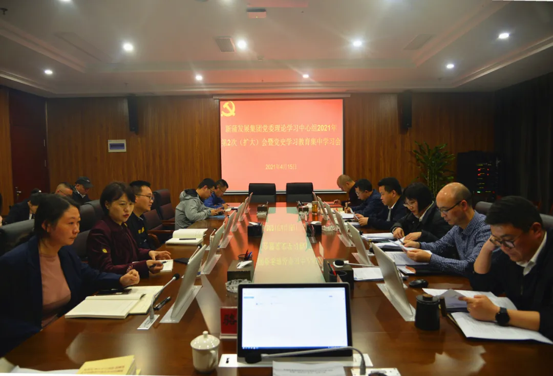 集团党委组织召开党史学习教育集中学习会