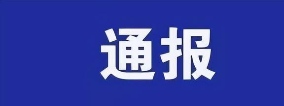 遵义市新蒲发展集团有限责任公司党委关于巡察整改进展情况的通报